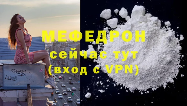мдпв Дмитровск
