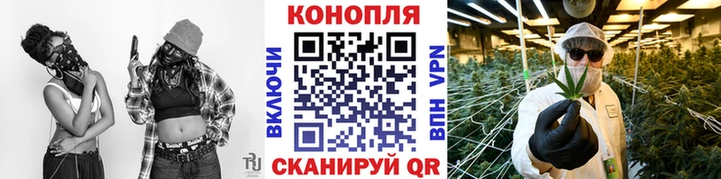 где купить наркоту  Буй  Марихуана марихуана 